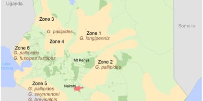 Kenya institut selidik dan pemetaan bayaran struktur